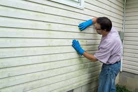 Best Storm Damage Siding Repair  in Rock Hill, MO